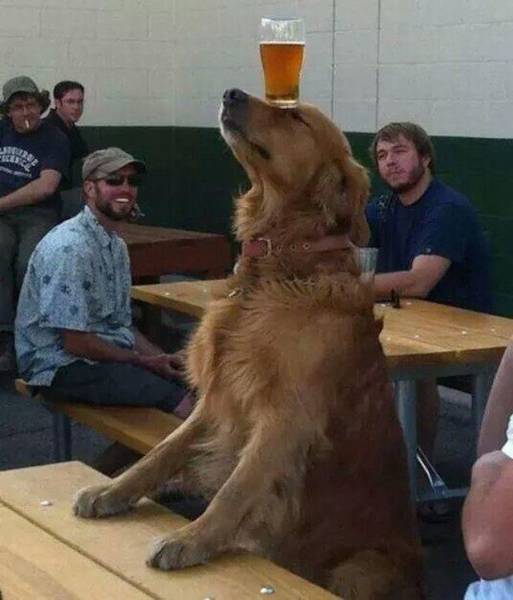 Acid Picdump (102 pics)