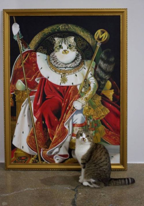 Acid Picdump (102 pics)
