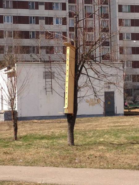 Acid Picdump (102 pics)