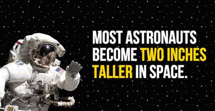 Cool Facts And Interesting Information About Outer Space (30 pics)