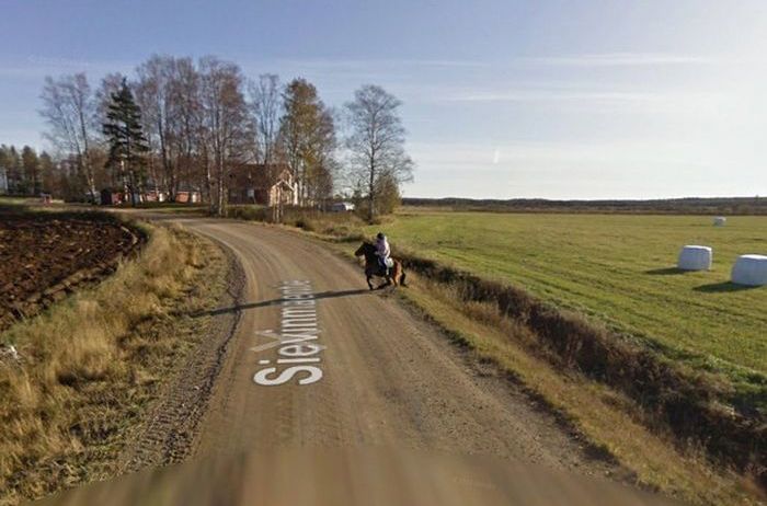 Horse Runs Away After Seeing Google Street View Car (5 pics)