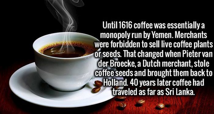 Real Facts That Will Stimulate Your Mind And Make You Smarter (20 pics)