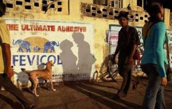 Shadows Can Be Used To Make Any Photo Look Dirty (30 pics)