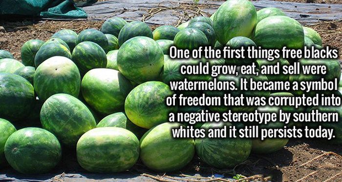 Fascinating Facts That Will Help You Start Fun Conversations (19 pics)