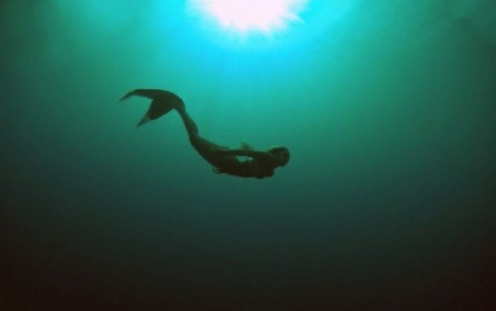 People Are Noticing That This Dolphin Looks Like A Mythological Creature (3 pics)