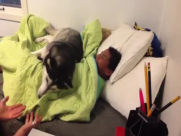 When Youre In Denial That You Have To Wake Up