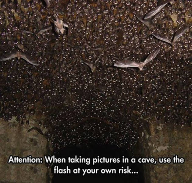 Here's A Full Serving Of Nope With An Additional Side Of Nope (42 pics)