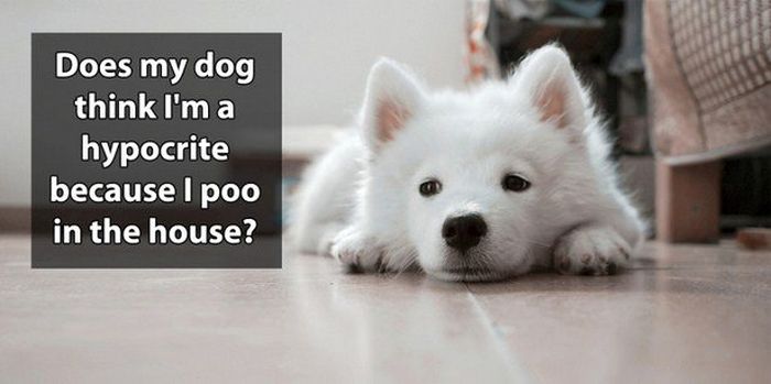 Shower Thoughts That Are Simply Brilliant (21 pics)