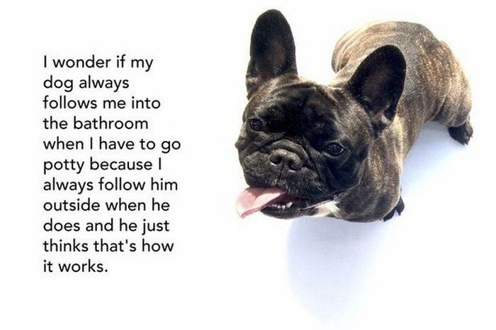 Shower Thoughts That Are Simply Brilliant (21 pics)