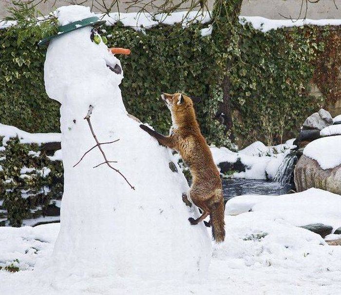 Acid Picdump (104 pics)