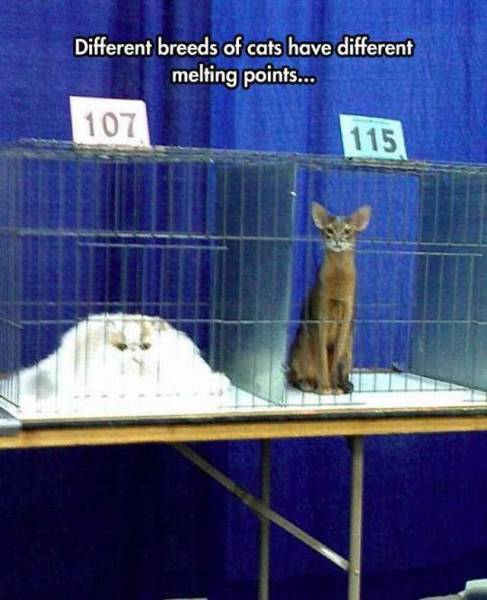 Acid Picdump (104 pics)