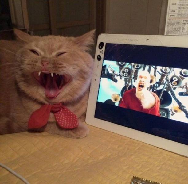 Acid Picdump (104 pics)