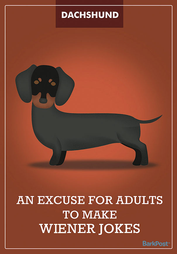 Honest Slogans That Break Down Different Dog Breed Stereotypes (12 pics)