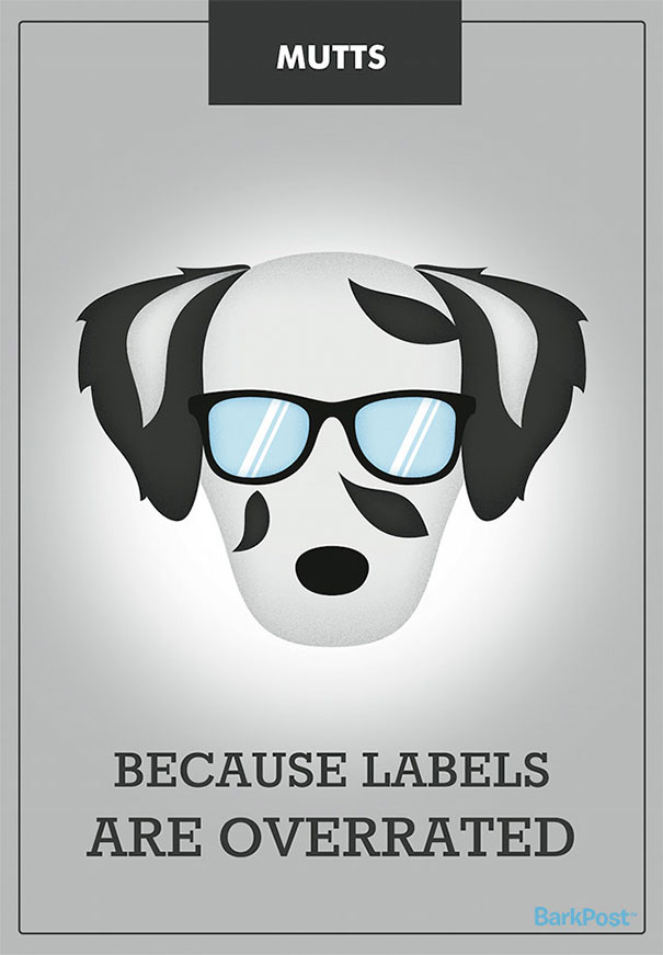 Honest Slogans That Break Down Different Dog Breed Stereotypes (12 pics)