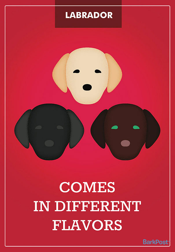 Honest Slogans That Break Down Different Dog Breed Stereotypes (12 pics)