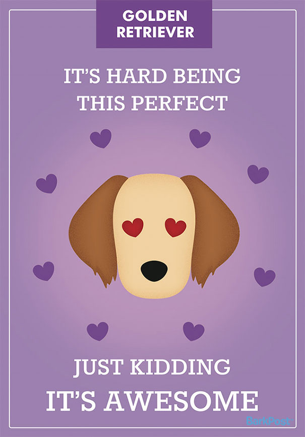 Honest Slogans That Break Down Different Dog Breed Stereotypes (12 pics)