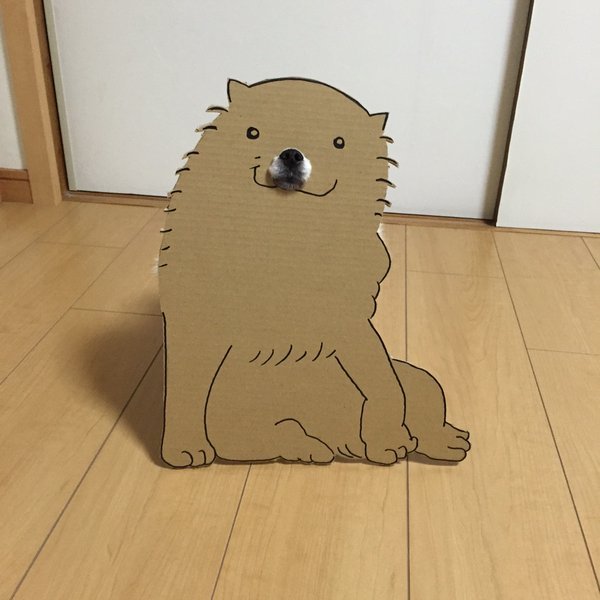 This Cardboard Dog Is Not What It Appears To Be (5 pics)
