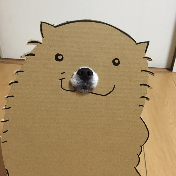 This Cardboard Dog Is Not What It Appears To Be (5 pics)
