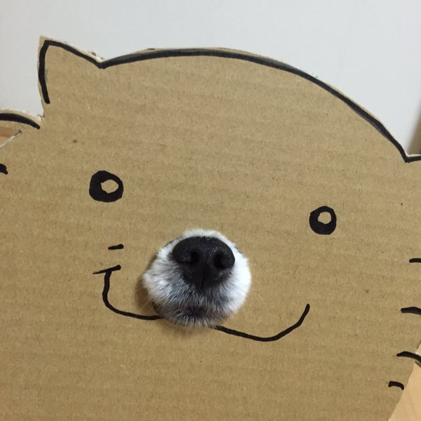 This Cardboard Dog Is Not What It Appears To Be (5 pics)