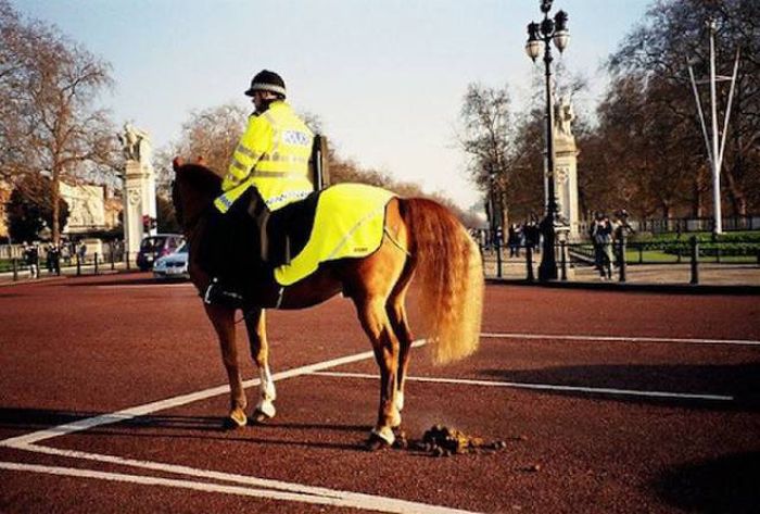 The Metropolitan Police Really Know How To Party (22 pics)