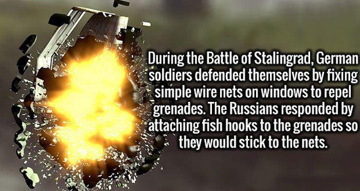 Open Up Your Mind And Let These Interesting Facts Inside (18 pics)