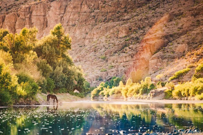 This Family Sold Their House So They Could Chase Their Dreams And Travel America (15 pics)