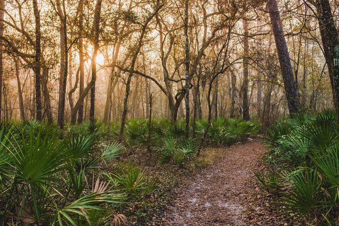 This Family Sold Their House So They Could Chase Their Dreams And Travel America (15 pics)