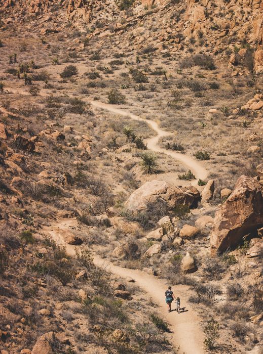 This Family Sold Their House So They Could Chase Their Dreams And Travel America (15 pics)