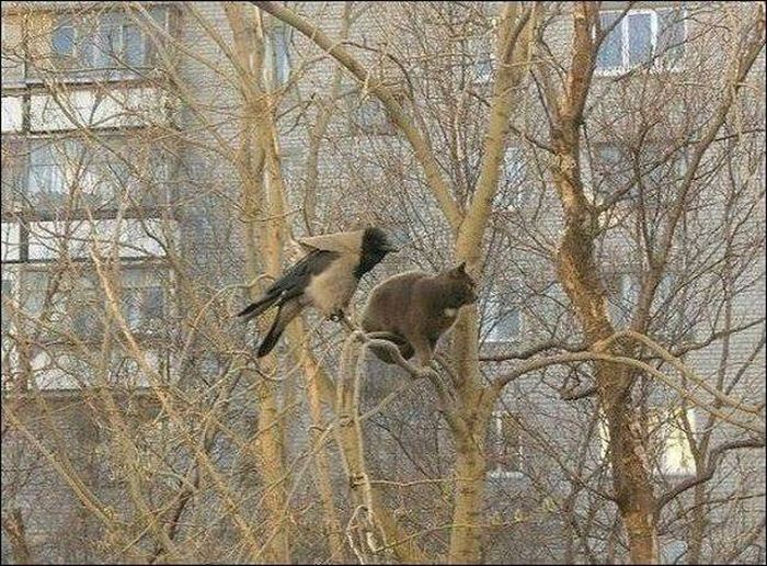 Acid Picdump (96 pics)