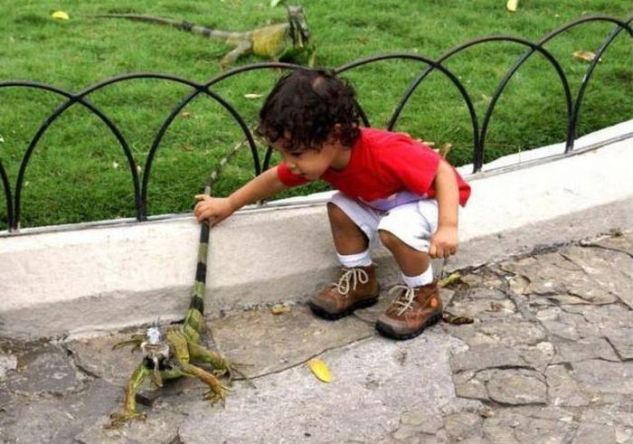 Acid Picdump (96 pics)