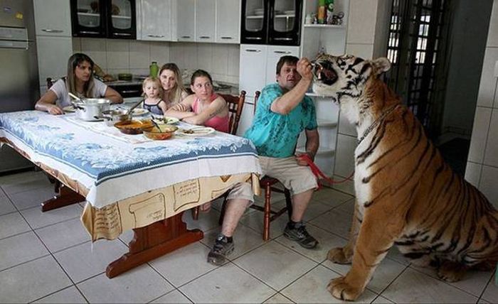 Acid Picdump (96 pics)