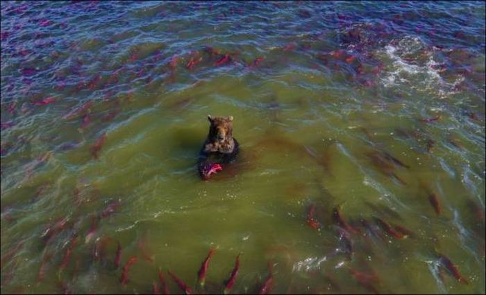 Acid Picdump (96 pics)