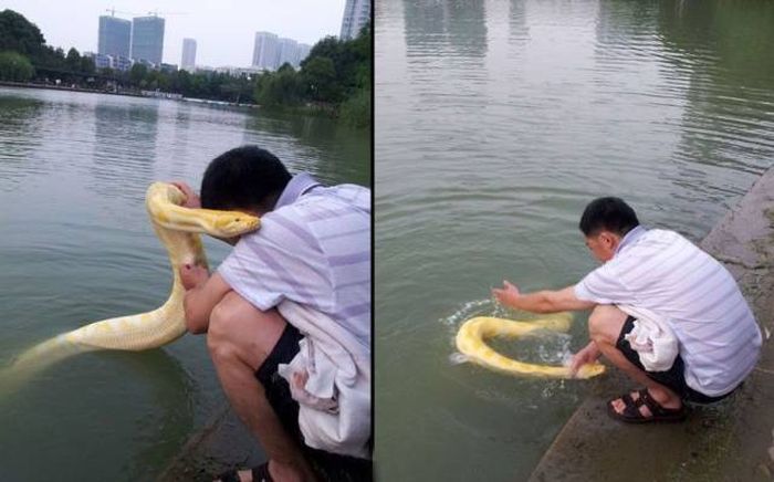 Acid Picdump (96 pics)