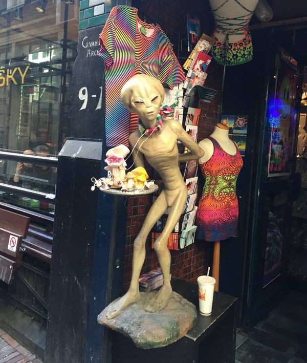 Acid Picdump (96 pics)