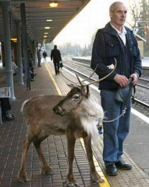 Acid Picdump (96 pics)