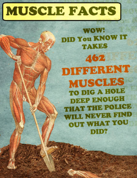 Acid Picdump (96 pics)