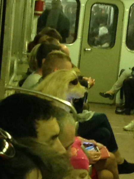 Acid Picdump (96 pics)