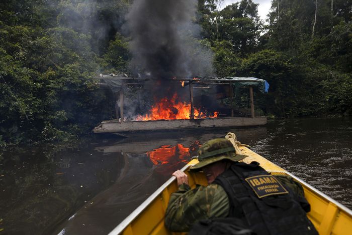 Authorities Are Cracking Down On Activities In The Amazon (14 pics)