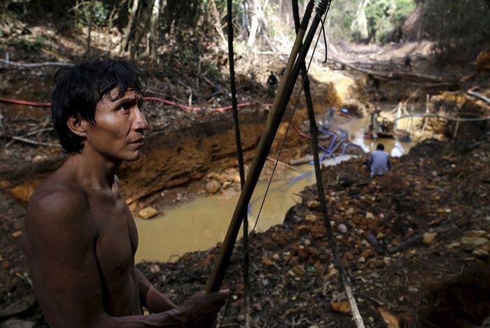 Authorities Are Cracking Down On Activities In The Amazon (14 pics)