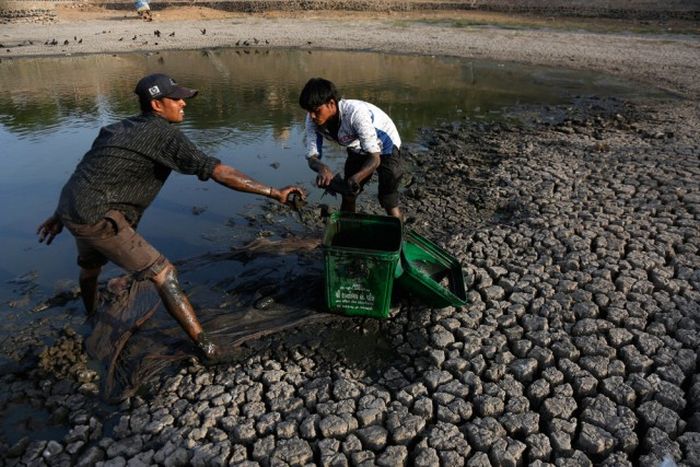 Interesting Photos That Show Just How Wonderful India Can Be (42 pics)