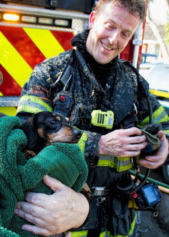 Australian Firefighters Risk Their Lives To Save Animals (30 pics)