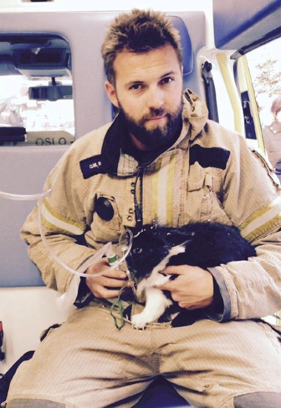 Australian Firefighters Risk Their Lives To Save Animals (30 pics)