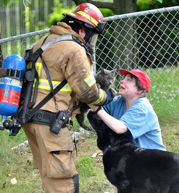 Australian Firefighters Risk Their Lives To Save Animals (30 pics)