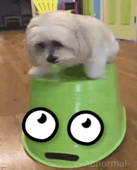 Gifs Can Always Be Improved By Adding Cute Faces To Them (16 gifs)