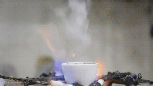 Gifs Can Always Be Improved By Adding Cute Faces To Them (16 gifs)
