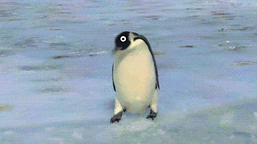 Gifs Can Always Be Improved By Adding Cute Faces To Them (16 gifs)