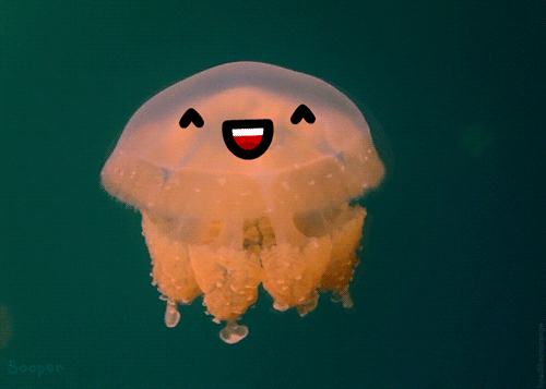 Gifs Can Always Be Improved By Adding Cute Faces To Them (16 gifs)