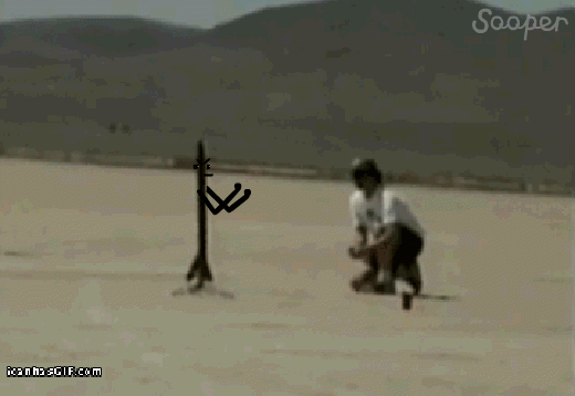 Gifs Can Always Be Improved By Adding Cute Faces To Them (16 gifs)