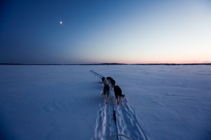 Life In The Arctic Isn't So Bad After All (20 pics)