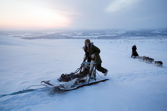 Life In The Arctic Isn't So Bad After All (20 pics)